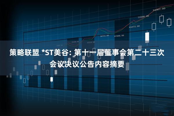 策略联盟 *ST美谷: 第十一届董事会第二十三次会议决议公告内容摘要