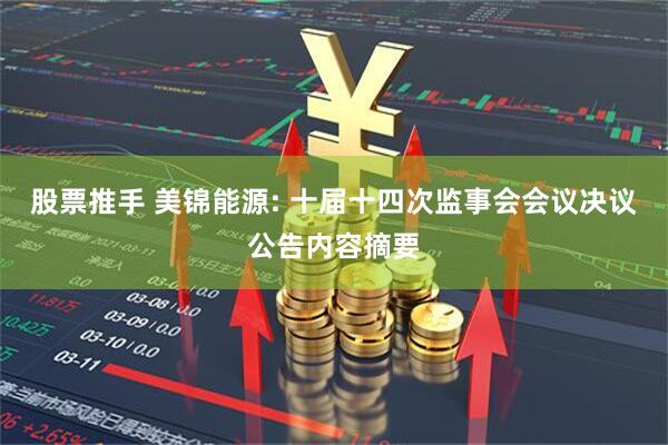 股票推手 美锦能源: 十届十四次监事会会议决议公告内容摘要