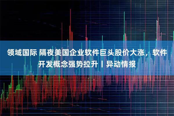 领域国际 隔夜美国企业软件巨头股价大涨，软件开发概念强势拉升丨异动情报